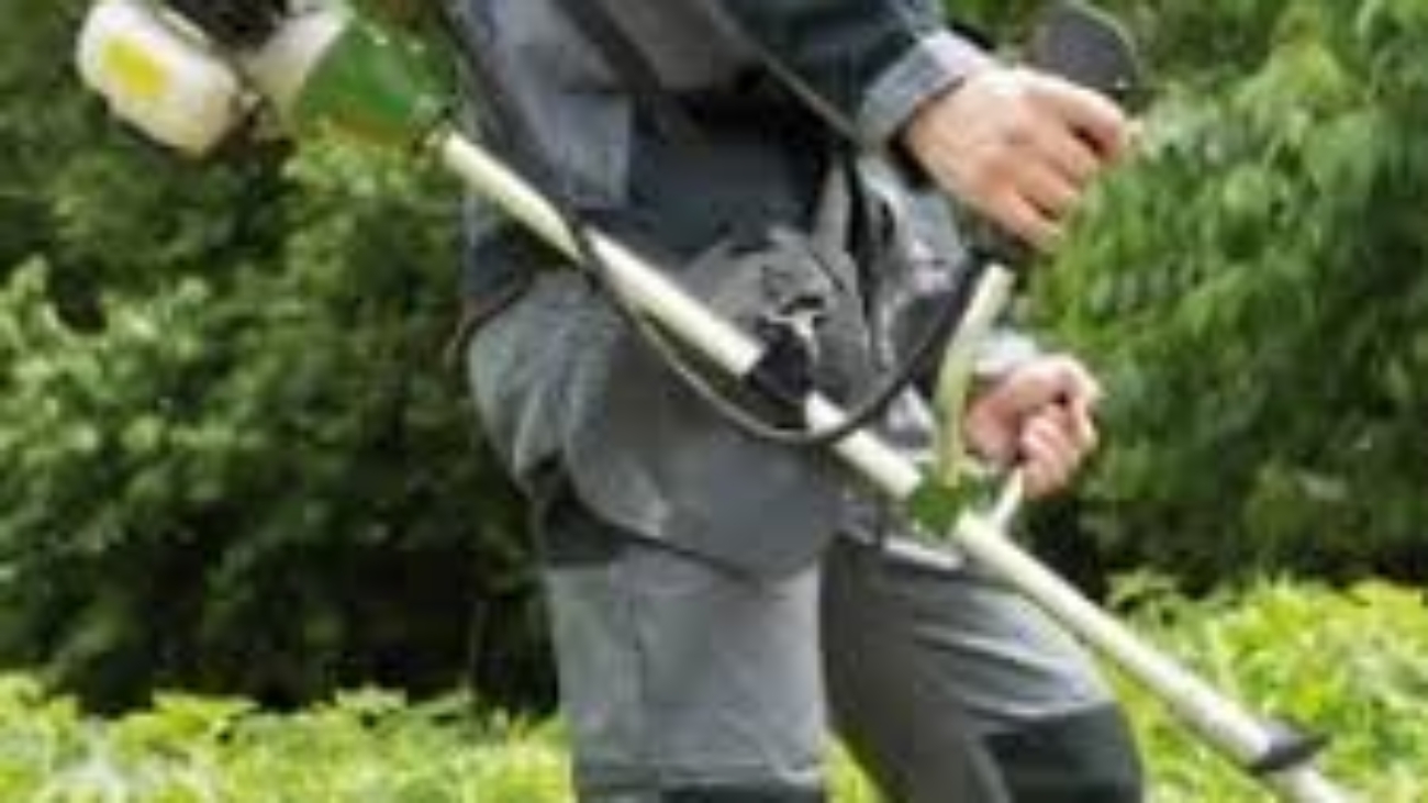 bb3883ff227d35fecc9ec80c089969c3_obligation